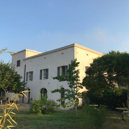 A Loghja Di Cavallo Morto Bonifacio  Bagian luar foto