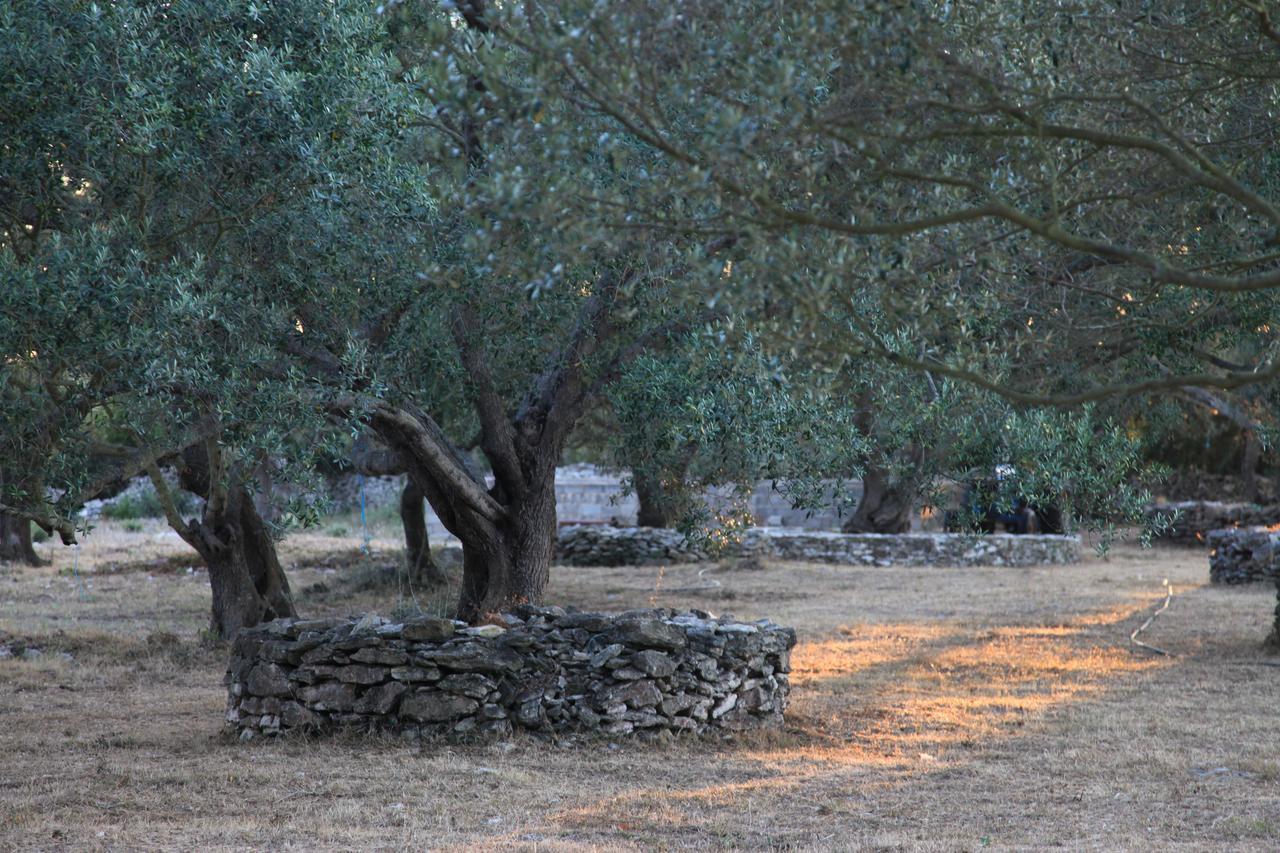 A Loghja Di Cavallo Morto Bonifacio  Bagian luar foto