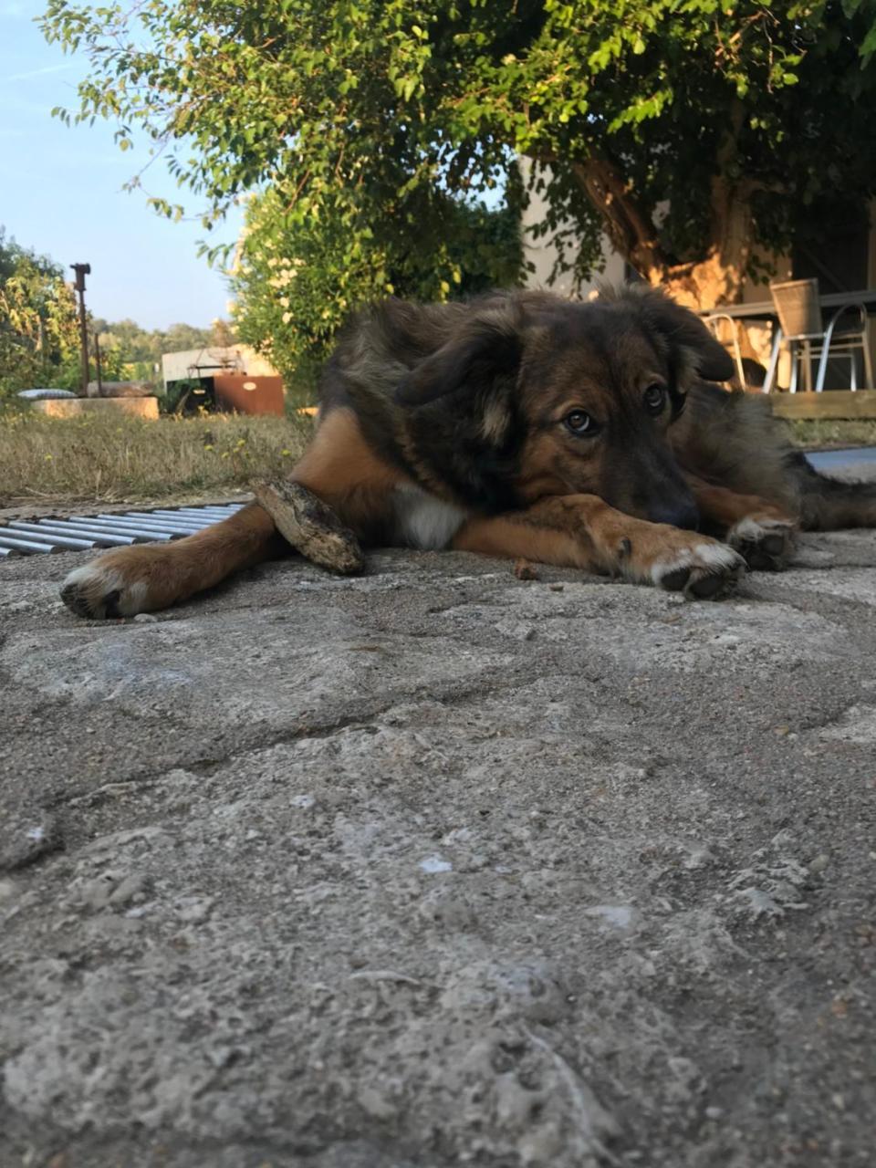 A Loghja Di Cavallo Morto Bonifacio  Bagian luar foto