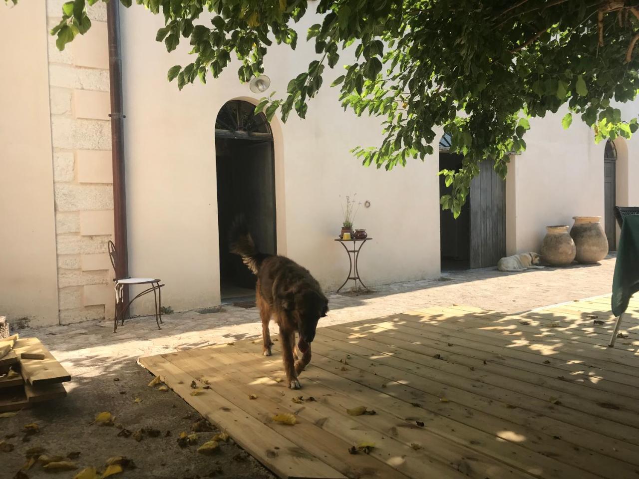 A Loghja Di Cavallo Morto Bonifacio  Bagian luar foto